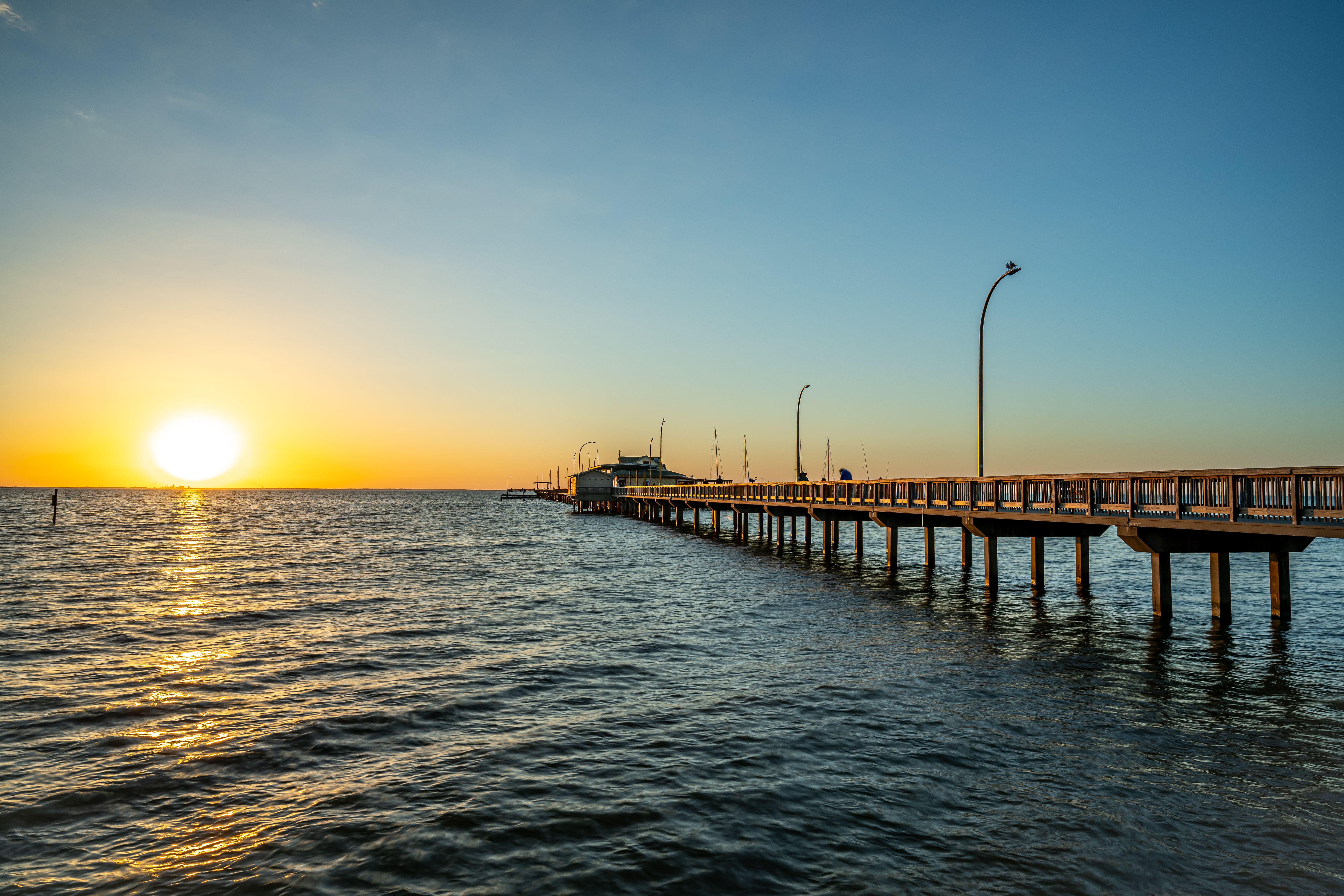Welcome to Magnolia Coast Sentinel